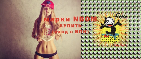 прущие крисы Новозыбков