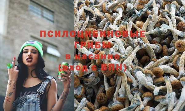 эйфоретик Новодвинск