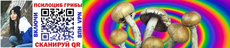 Галлюциногенные грибы MAGIC MUSHROOMS  Купить где  Смоленск 